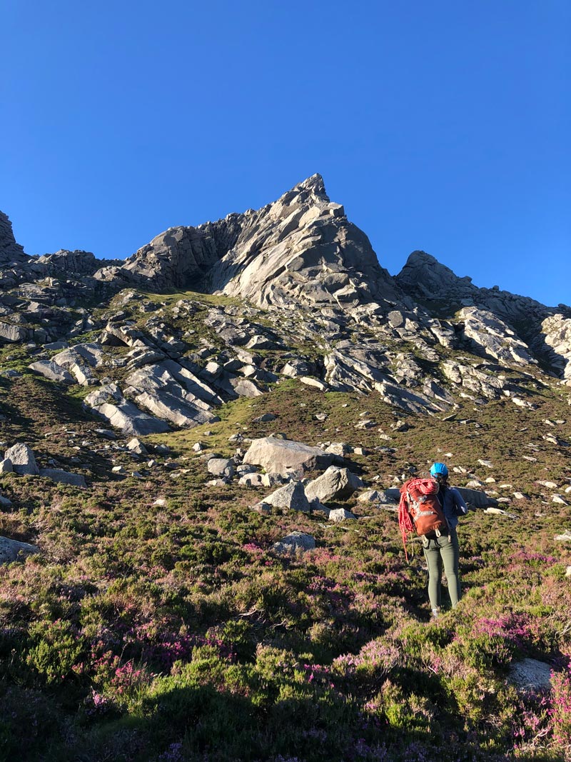 Acai Trousers Jessie Leong IMG 6014