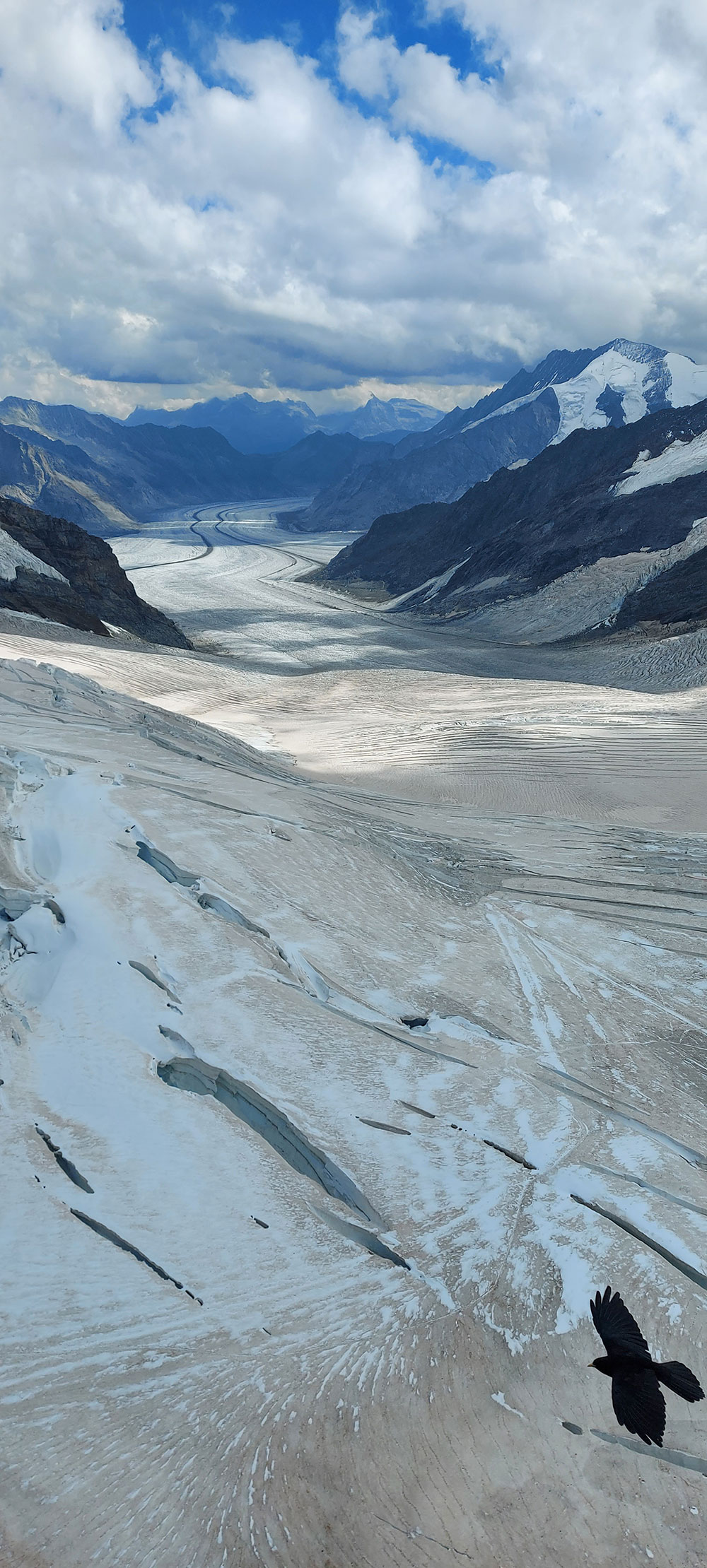 Aletsch Glacier from Jungfraujoch