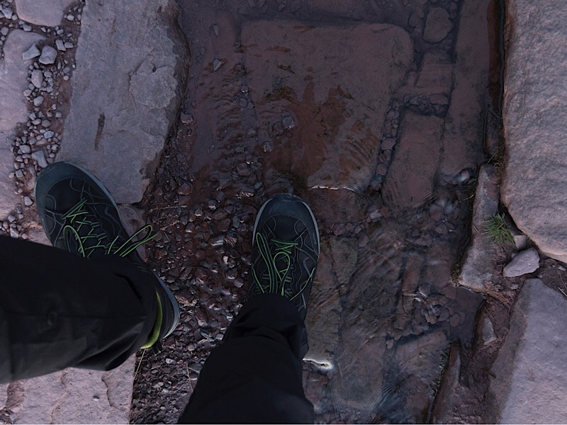 7AAC6C8D DA70 4145 A545 7CF7B798F58E