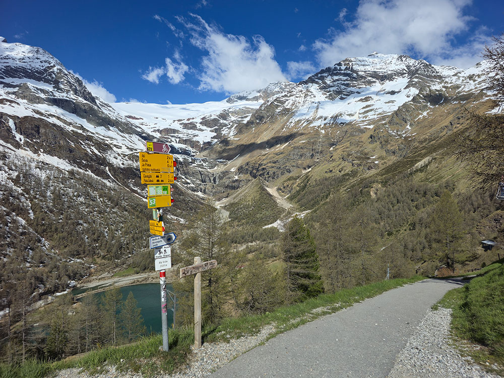 Bernina Palu Glacier
