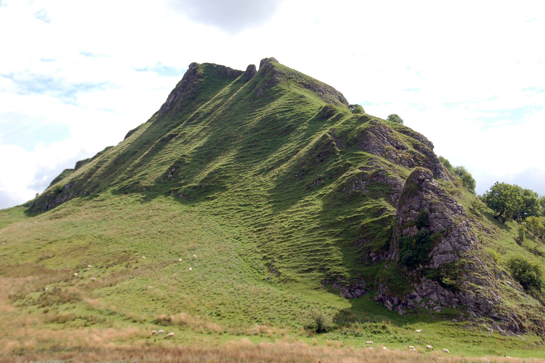 Chrome Hill 5