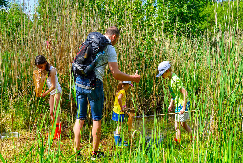 Cmelak Explorers in the wetland