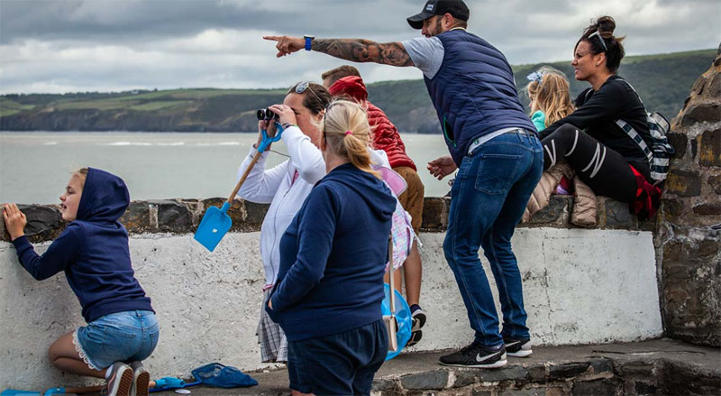 Dolphin spotting off New Quay