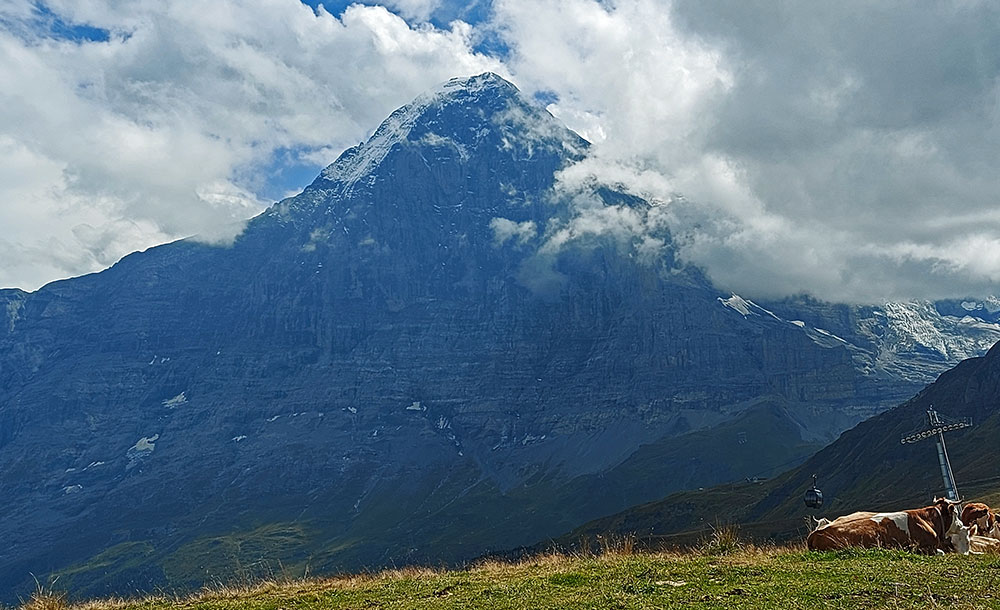 Eiger north face almost devoid of snow