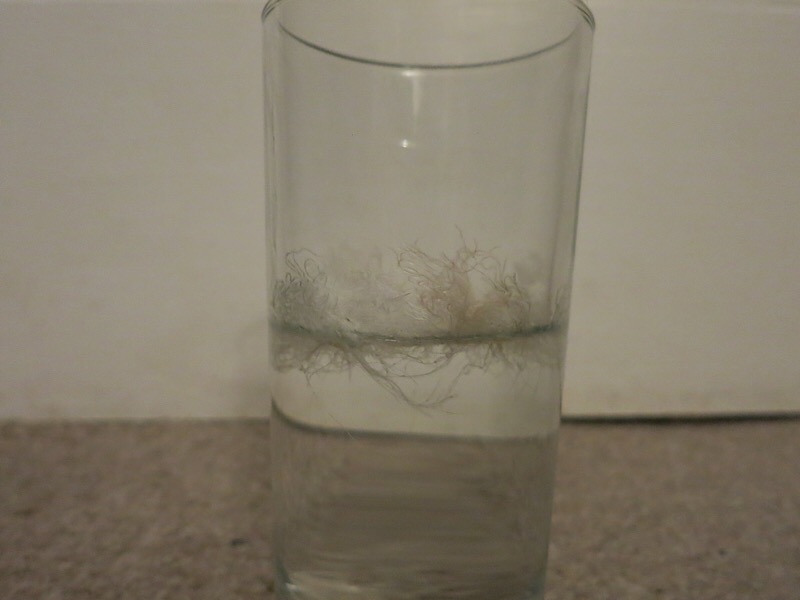 EA7A017B D2F1 43AF AF5B 28AAF236171C