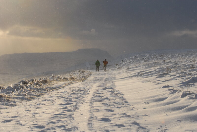 SPINE FILM SummitFeverMedia 13 2