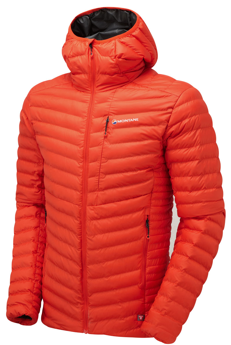 Montane icarus
