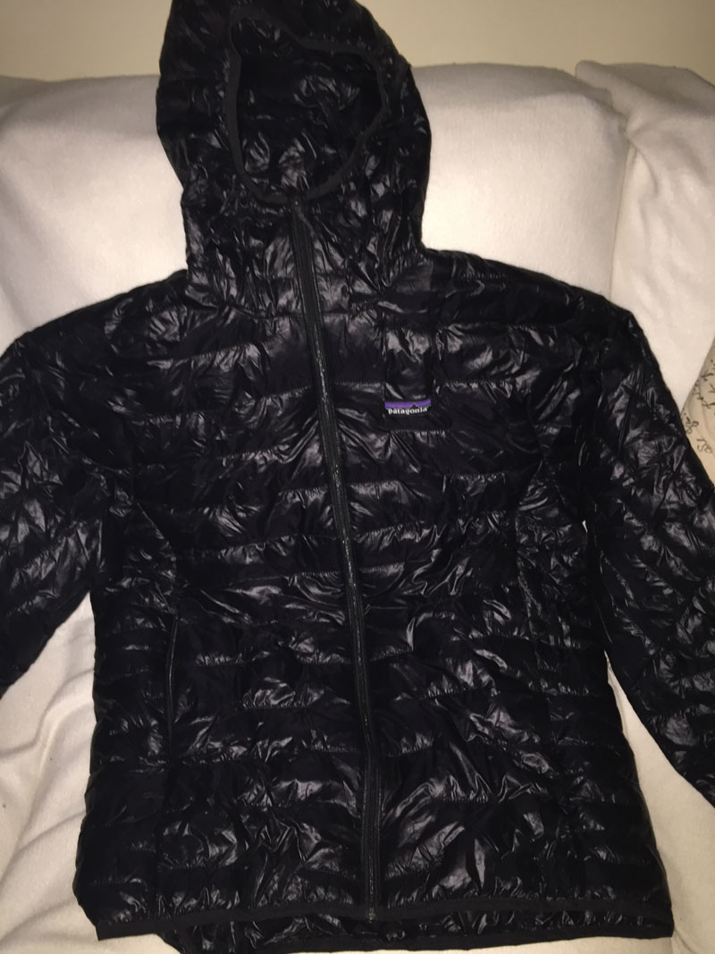 Patagonia Micro Puff Hoody Tested and Reviewed