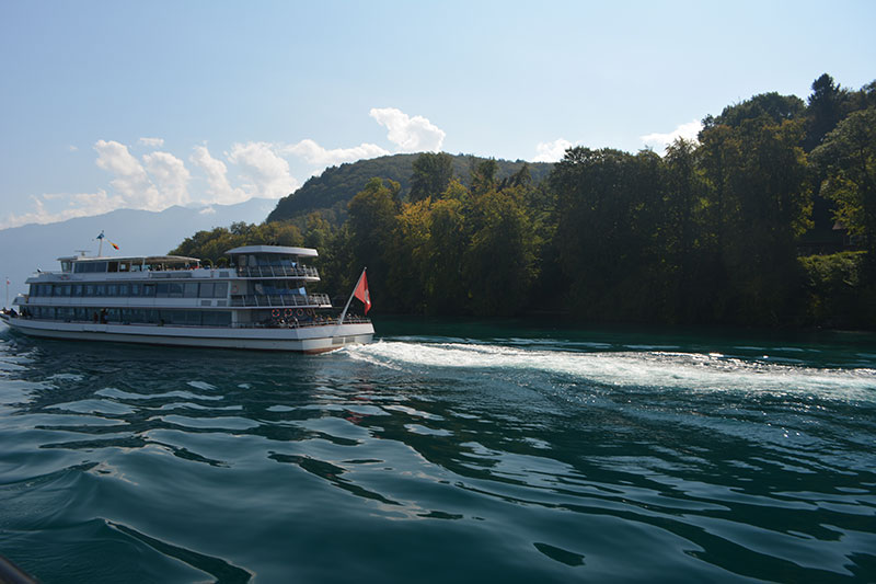 Thunersee cruise