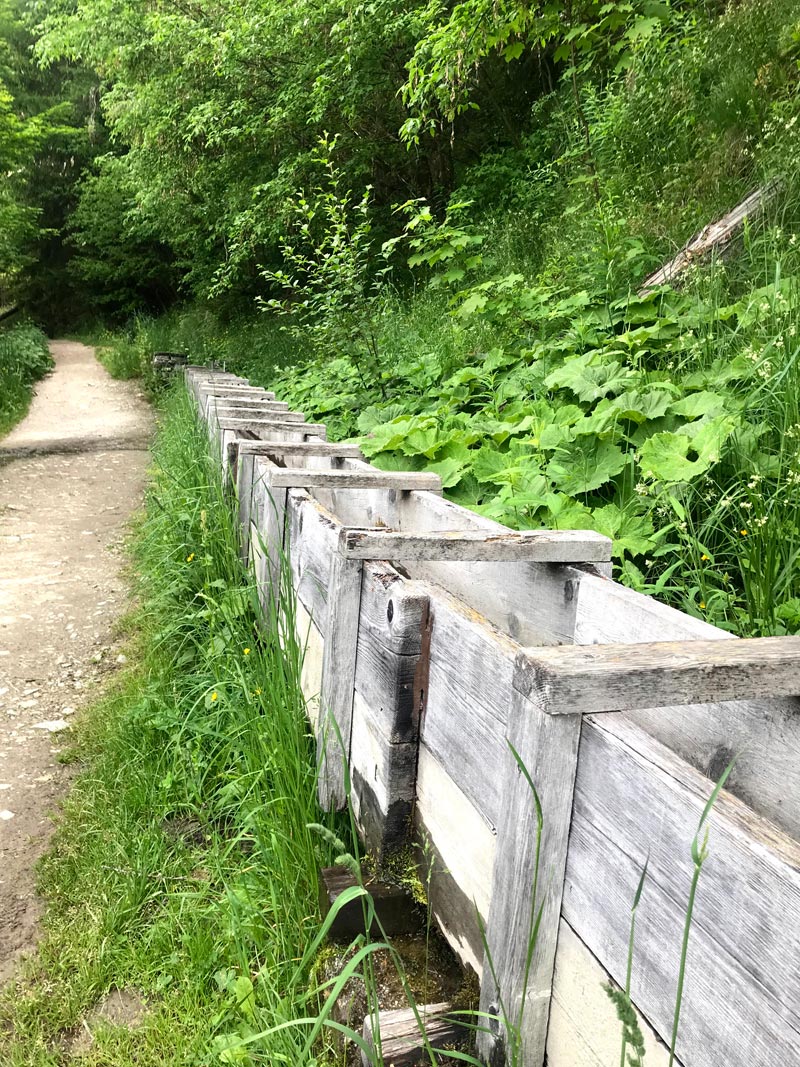 UTMB bisse du Trient