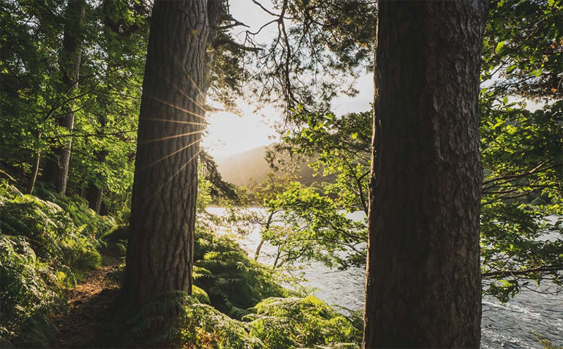 Walking Along the Wicklow Way