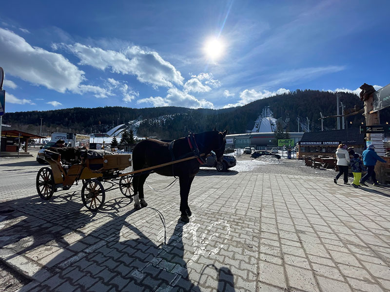 Zakopane carriage