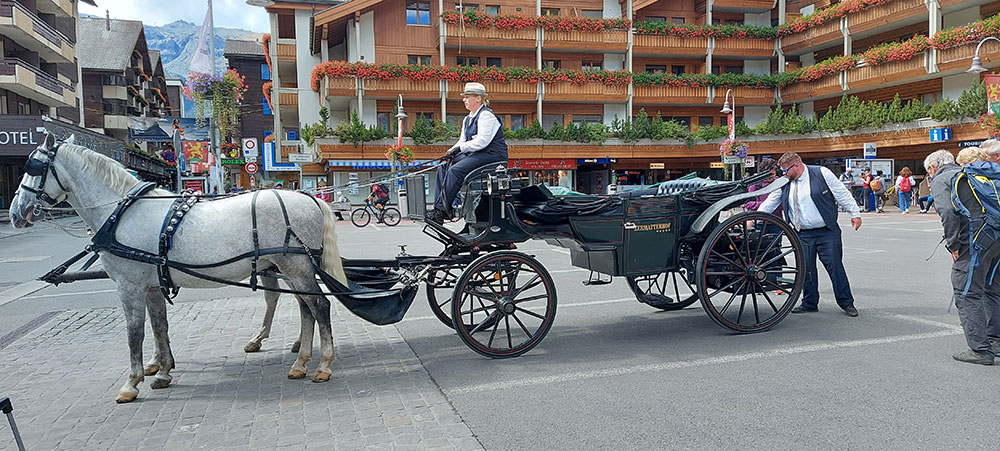Zermatt horses